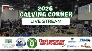 Calving Corner 1/10/2026 &ndash; Rock Solid Dairy (Day One)