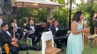 Todo dia até morrer (Rodolfo Abrantes) - Alleanza Produções Musicais