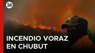 🔥 CHUBUT | Más de 50.000 hectáreas arrasadas y brigadistas luchan contra el avance sin control