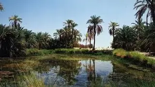جوله بطريق قريتي الزراعي محافظة اسيوط❗مناظر طبيعية جميلة جدا واهلها الطيبين
