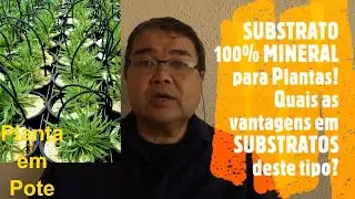 SUBSTRATO 100% MINERAL para Plantas! Quais as vantagens em SUBSTRATOS deste tipo?