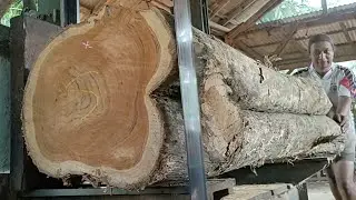 The process of turning large teak wood into beautiful sheets of high value fiber 