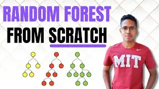 Random forest explained and built from scratch
