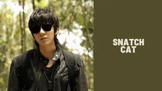 hei xiazi || snatch cat