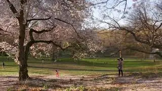 Pilgrim Hill Stroll (Audio Described)