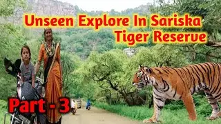 Sariska Tiger Reserve | Unseen Explore Sariska Jungle | Sariska Wildlife sanctuary #ramnaturevlogs