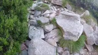 Variante Alpine des Aiguilles de Bavella