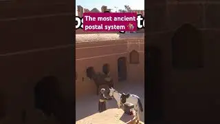 World's First Postal System