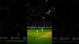 MS Dhoni #dhoni #kgf #csk #ipl #cricket #msdhoni #msd #status #shorts #shortsfeed