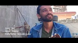 Bird | New song 2026 | Sheraz #sadsongs #music #trending 