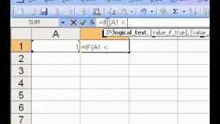 Microsoft Office Excel 2003 IF Function