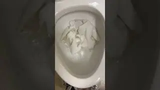 Glacier bay power flush toilet tp test