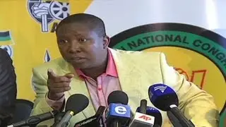 Julius Malema is expected to face corruption charges