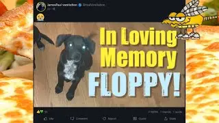 Floppy Dog Dead, Twas The Trolls Fault -  Shame It Wasn't The Aloof Sharpie That Expired...