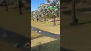 funny slip 😂 #dailydose #viral #fails