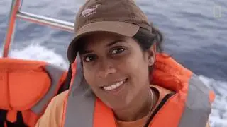 2016 Emerging Explorers