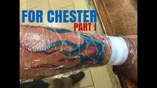 For Chester - Part I