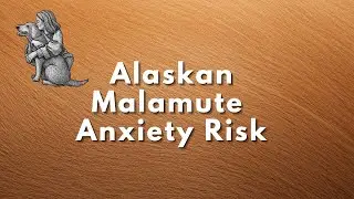 Alaskan Malamute   Anxiety Risk