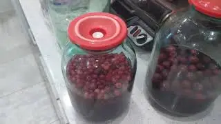 Экспресс настойка под вакуумной крышкой за 3 дня