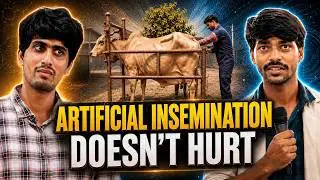 Cow Was Screaming From Heat | Classroom Debate