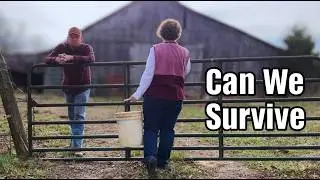 How We Homestead Over 40 While Working Full-Time Off the Farm