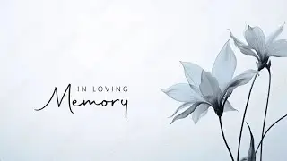 In Loving Memory. A Tribute to the Pro Wrestlers we lost in 2025.