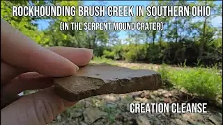 What We Found in Ohio's Impact Crater Creek (Brush Creek) | Ancient Flint, fossils, and more!