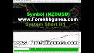 Forex Expert Advisor BB Gun Short Pro 2.0 NZDUSD Part 21