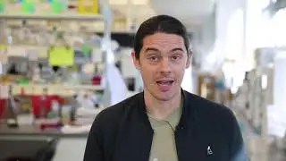 ISB Research and the Immune System