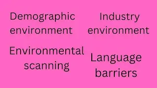 #demographic environment environmental scanning #industrial environment internal external analysis