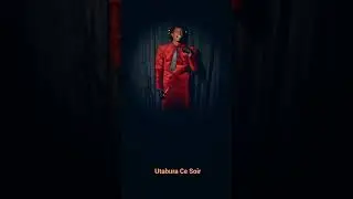 G Floks Ce Soir  ( Official visualizer )