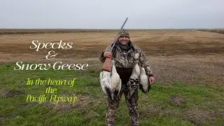 Speck & Snow Goose Hunt in the Heart of the Pacific Flyway with MOA Outfitters