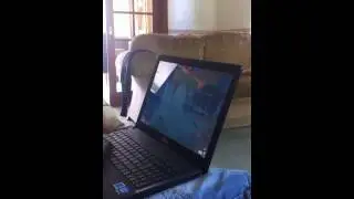 The Travis troll