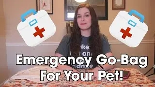 How To Prepare An Emergency Plan FOR YOUR PET | 5 Things You Shouldn't Forget To Pack For Your Pet!