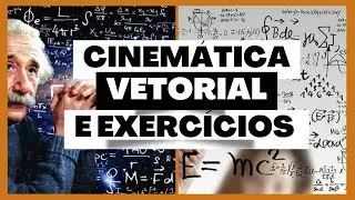 CINEM&Aacute;TICA VETORIAL COM EXERC&Iacute;CIOS Professor Daniel Japiass&uacute; - F&iacute;sica