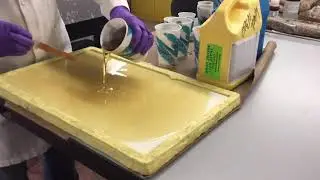 Casting Fossils