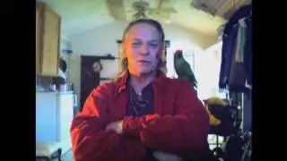 The Raven and The Conure