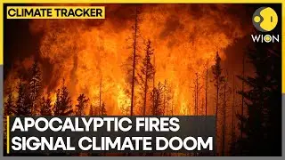 Greece wildfire scorches area bigger than New York City | WION Climate Tracker