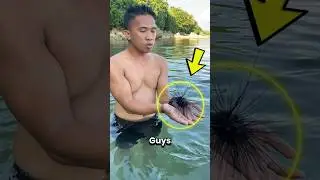 Никогда не трогайте этих колючих морских существ! 😱🕸️