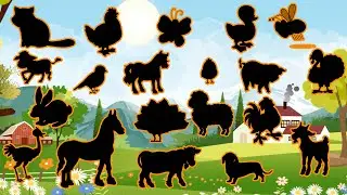 Que animal da Fazenda é esse? Descubra os animais pela sombra! 🤔🚜