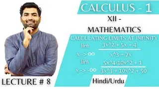 How to find limit at Infinity | Basics and Examples | Hindi/Urdu
