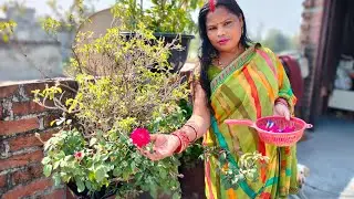 My first blog bagvani mini Blog