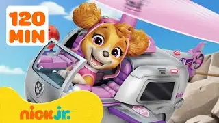 PAW Patrol Air Rescue Adventures! 🚁  120 Minutes | Nick Jr.