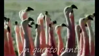 Planet Heart Forever - ITA