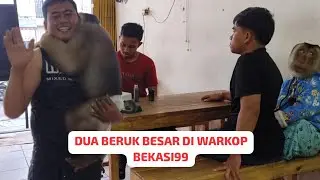 BERUK BASTIAN DAN BERUK MONYONG NONGKRONG DI WARKOP ‼️ full video (No Cut!)