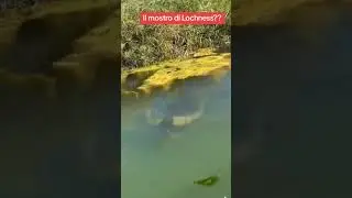 L'avvistamento pi&ugrave; virale del mostro del lago 2025 #monster #dangerous #explore