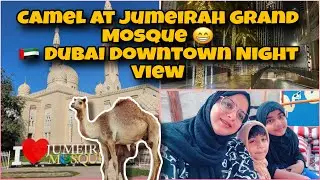 Downtown Dubai Night Vlog 🌙 Burj Khalifa | 🐪 Camels at Jumeirah Mosque + Snicker Doodle 