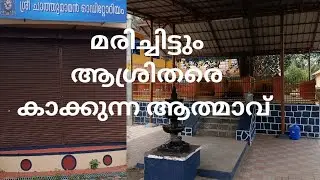 പുളിൻകാവ് ഭഗവതി | Puliyankavu Bhagavathi Temple | Karigarapulli | Chathumaman Temple