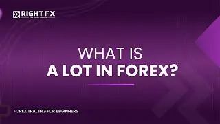what is a lot in forex ? | Forex trading for beginners
