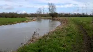 8of17 Chelmer and Blackwater Navigation Canal Between Hoe Mill and Rushes Lock